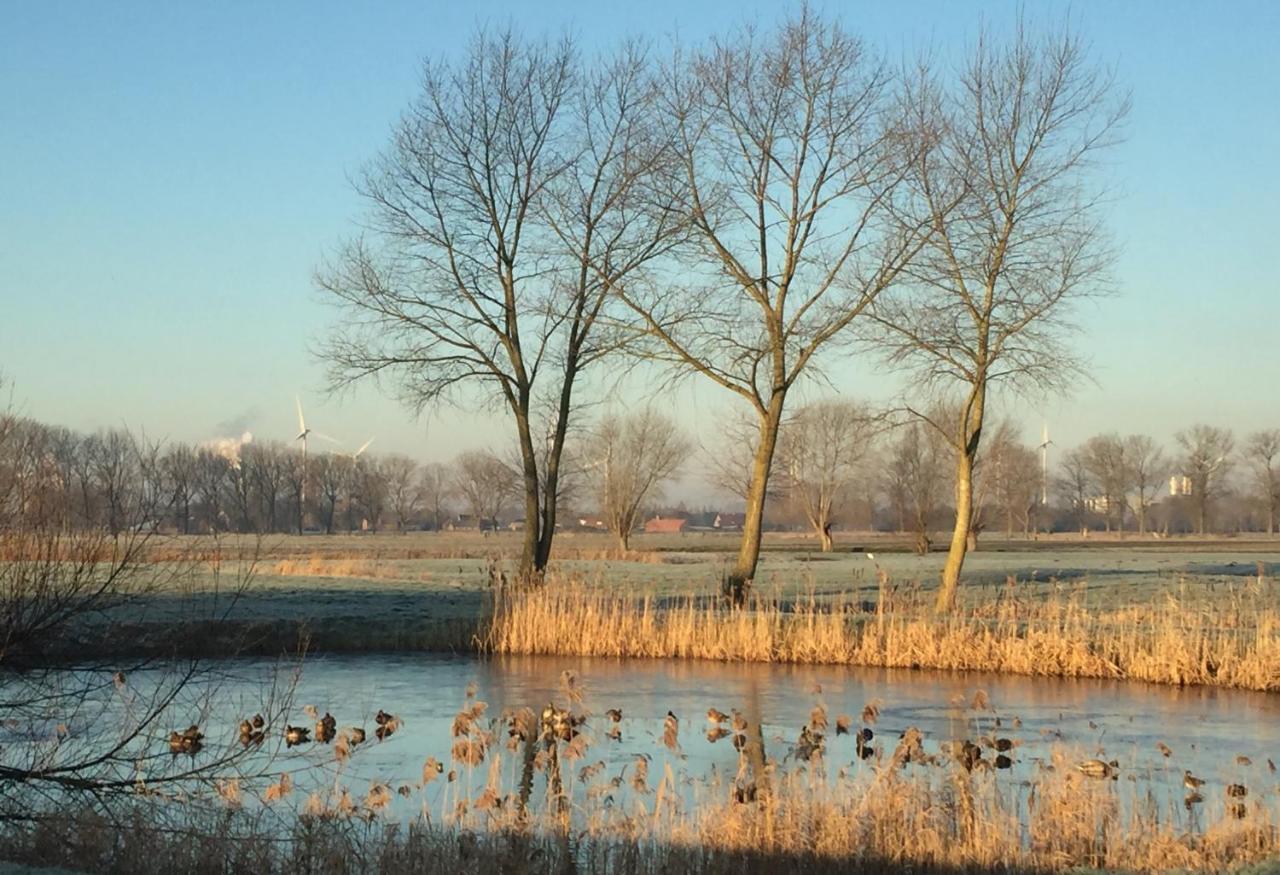 Logies De Meerkoet Brugge Ngoại thất bức ảnh