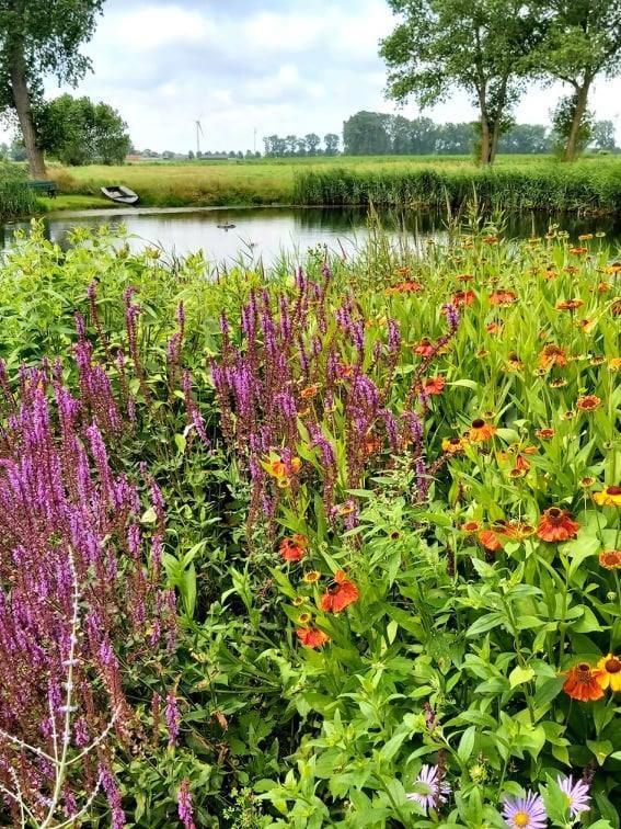 Logies De Meerkoet Brugge Ngoại thất bức ảnh