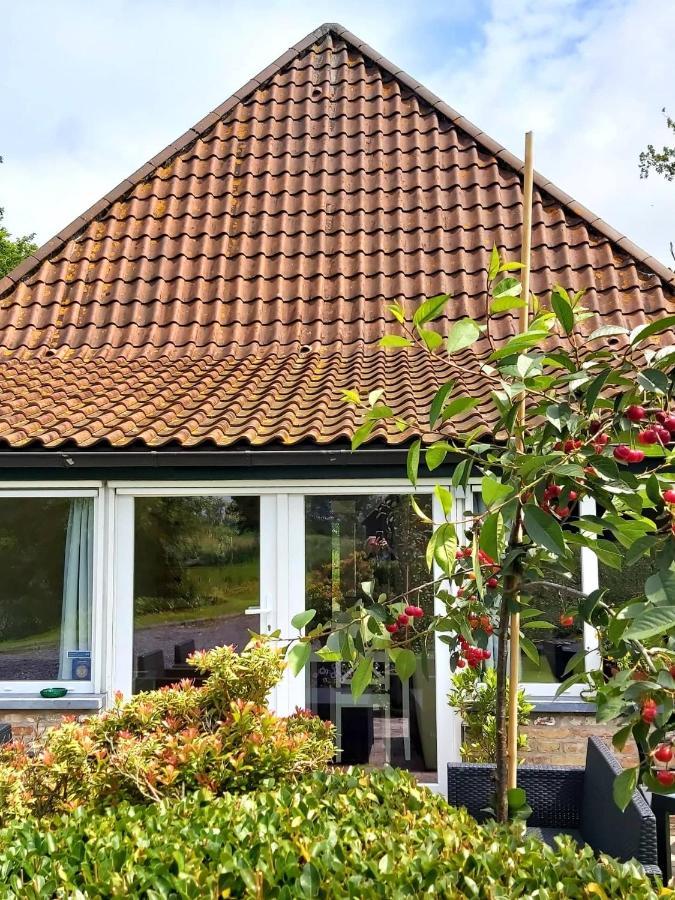 Logies De Meerkoet Brugge Ngoại thất bức ảnh